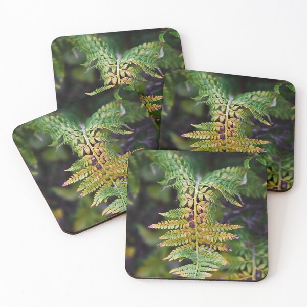 Item preview, fern | nature photography designed and sold by Mii-pics.