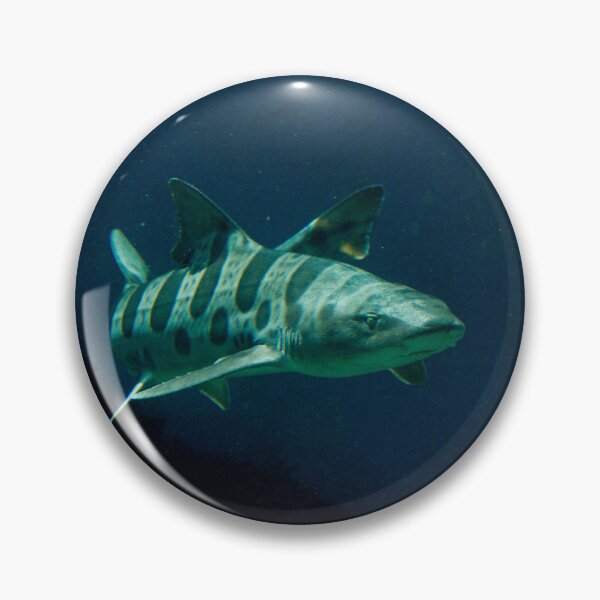 Item preview, Leopard Shark designed and sold by Wayne Thomson.