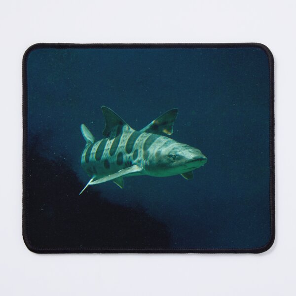 Item preview, Leopard Shark designed and sold by Wayne Thomson.