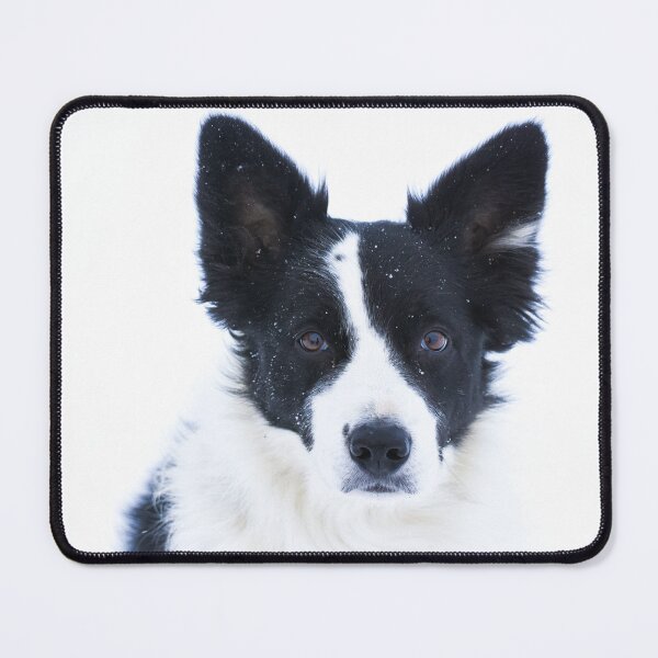 Item preview, dog portrait designed and sold by Jessinia Wallach.