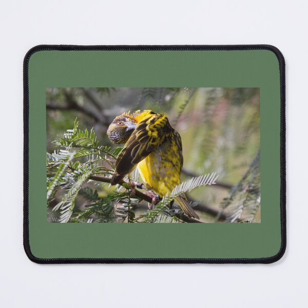 Item preview, Under Wing designed and sold by Wayne Thomson.