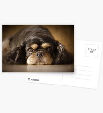 JUST BOOTS Postcards