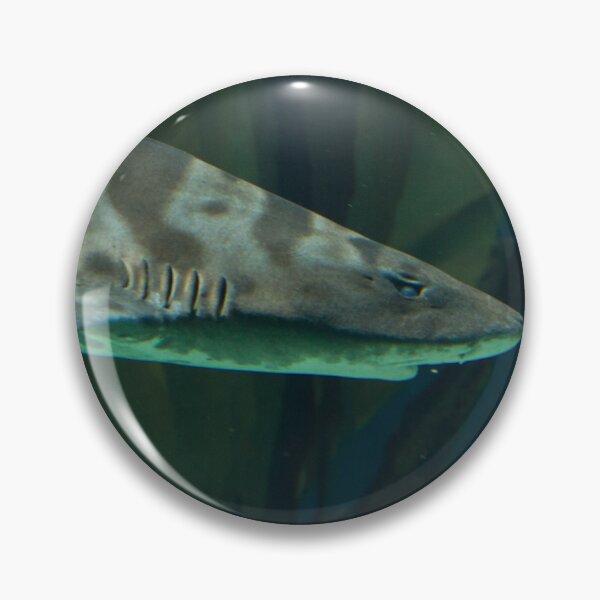 Item preview, Leopard Shark designed and sold by Wayne Thomson.