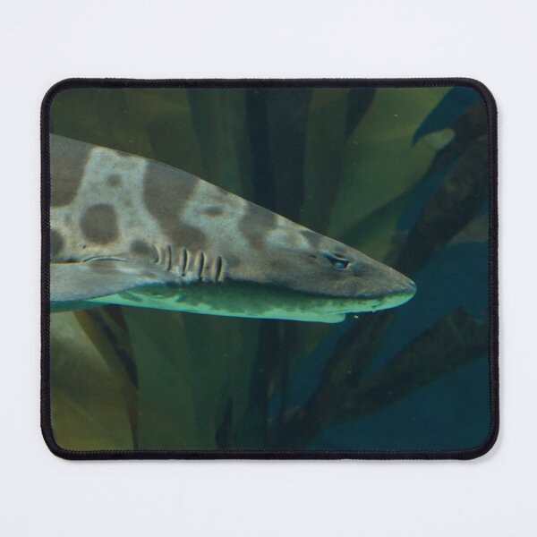 Item preview, Leopard Shark designed and sold by Wayne Thomson.