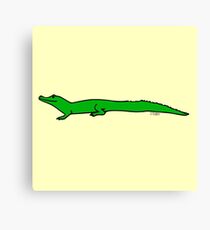 Crocodile Canvas Print