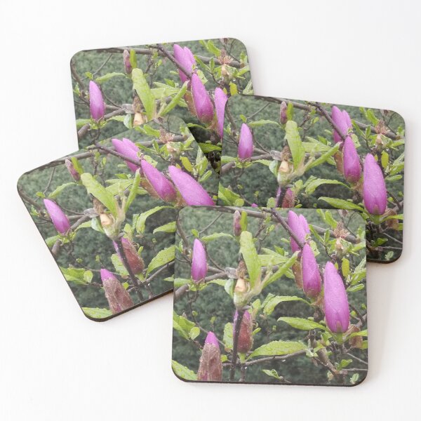 Item preview, Spring Rain Flowers designed and sold by Elizabeth's Music & Arts.