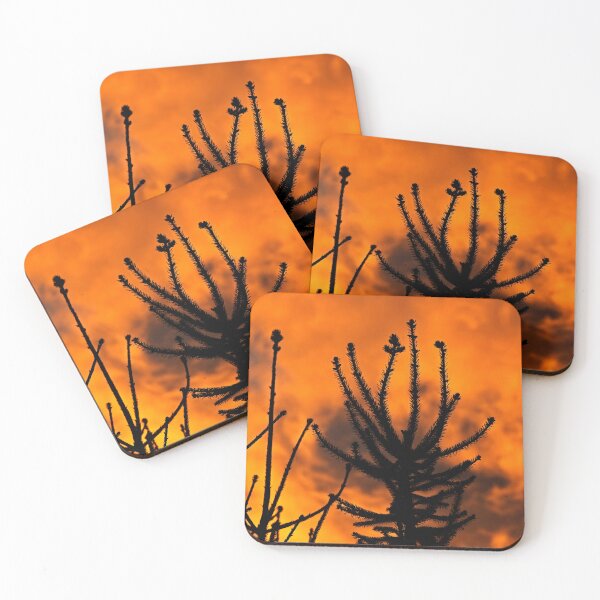 Item preview, Fir in front of an orange sky | nature photography designed and sold by Mii-pics.