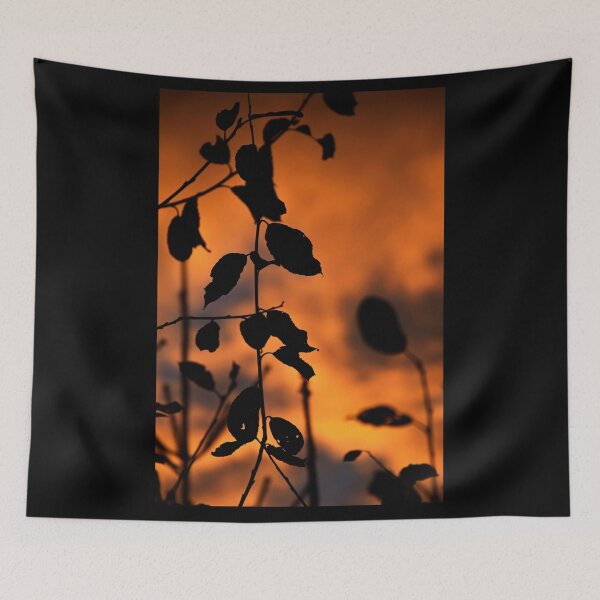 Item preview, Leaves against an orange sky | nature photography designed and sold by Mii-pics.