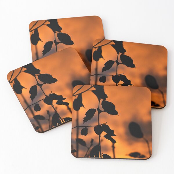 Item preview, Leaves against an orange sky | nature photography designed and sold by Mii-pics.