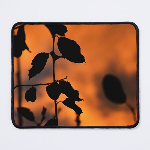 Item preview, Leaves against an orange sky | nature photography designed and sold by Mii-pics.