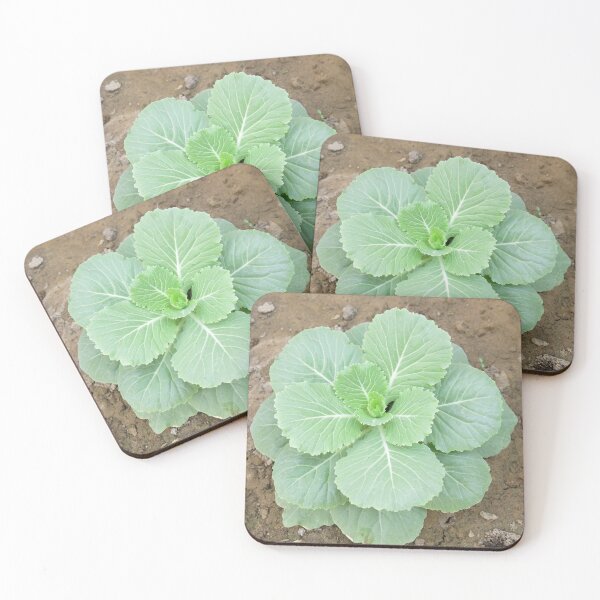 Item preview, Green plant in the garden designed and sold by MubaraksArt.
