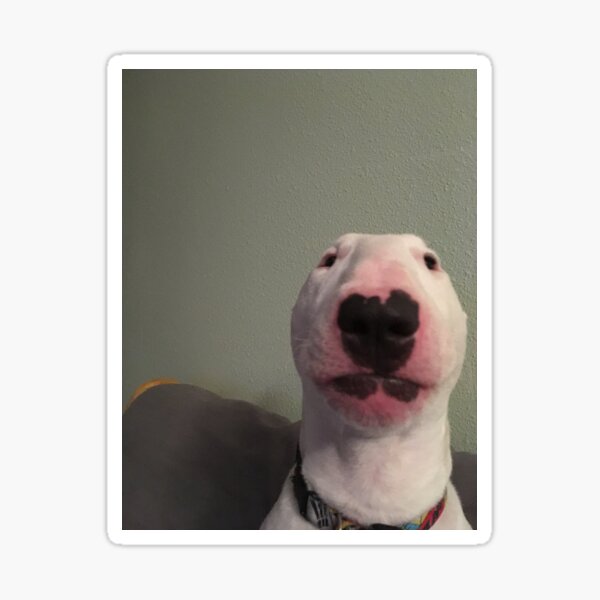Item preview, Walter designed and sold by JoeyGsShop.