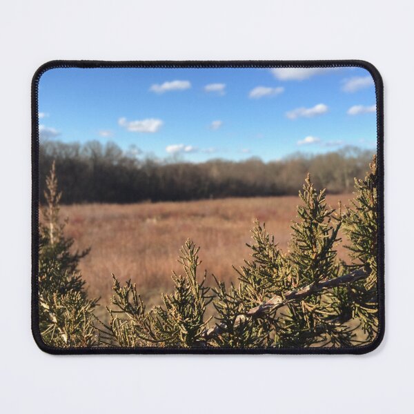 Item preview, Cedar Tree Landscape Photo designed and sold by jjomally1.