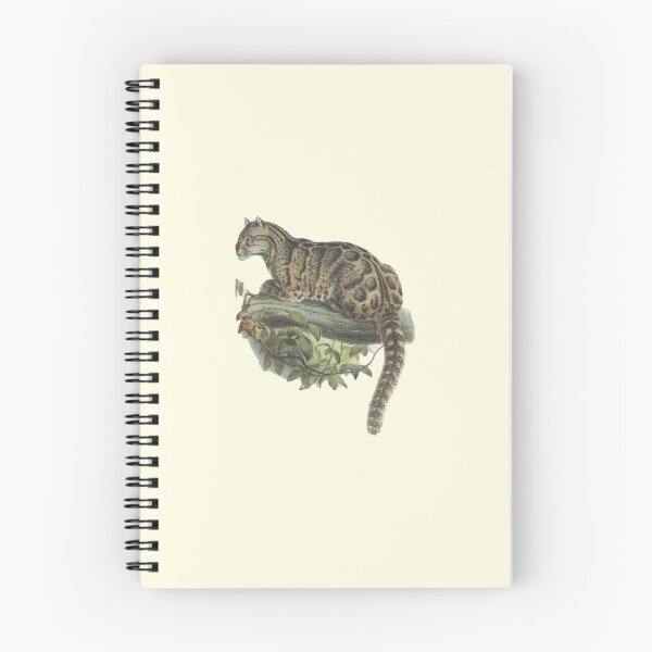 Item preview, Clouded Leopard - Big Cat Illustration designed and sold by HannahSterry.