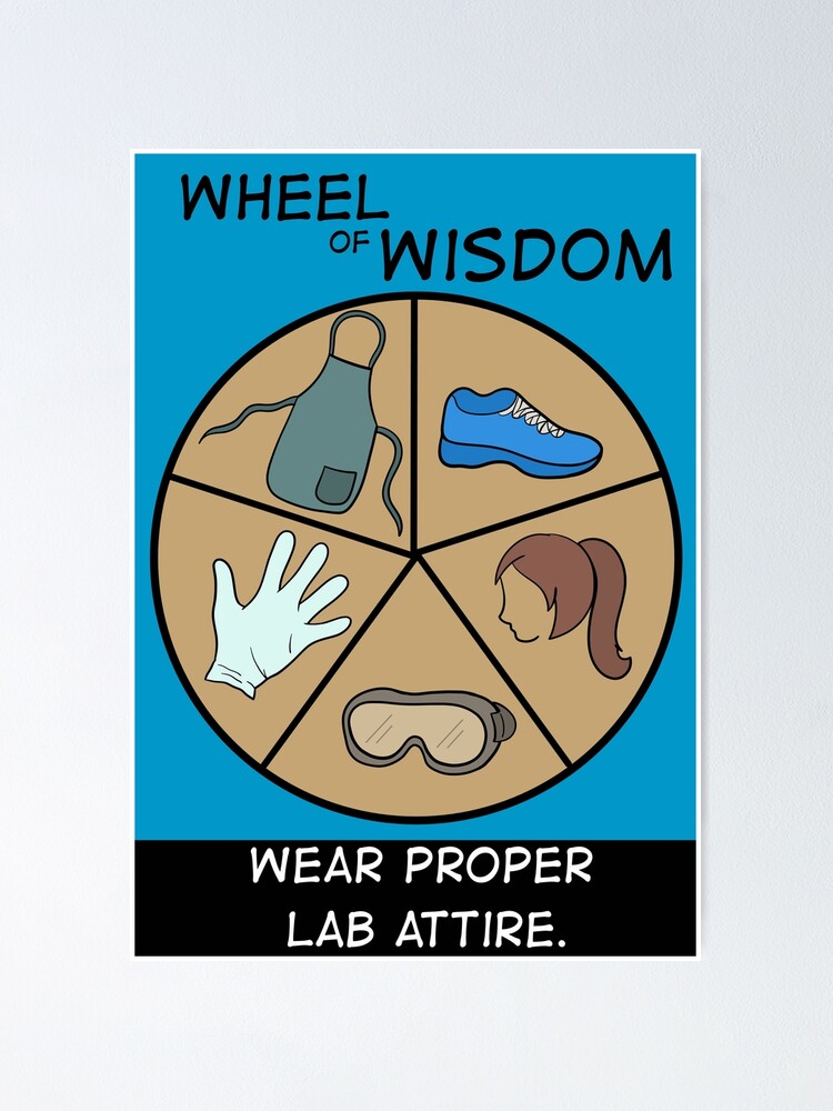Safety Poster Videos For A Lab Make A Lab Safety Post - vrogue.co
