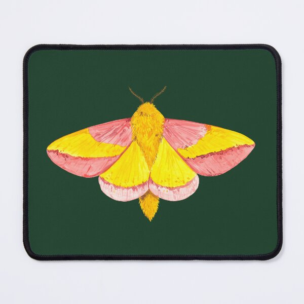 Item preview, ROSY MAPLE MOTH-Dryocampa rubicunda designed and sold by BEATRIZ ABAITUA.