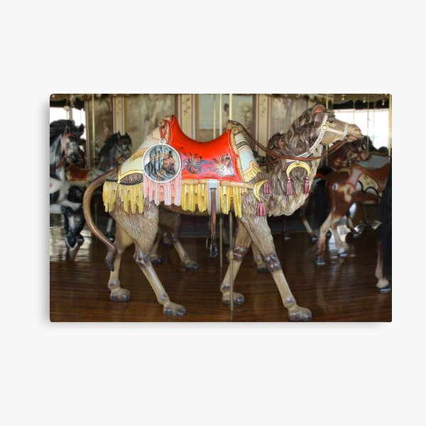 Mister Camel of PTC No. 6 Canvas Print