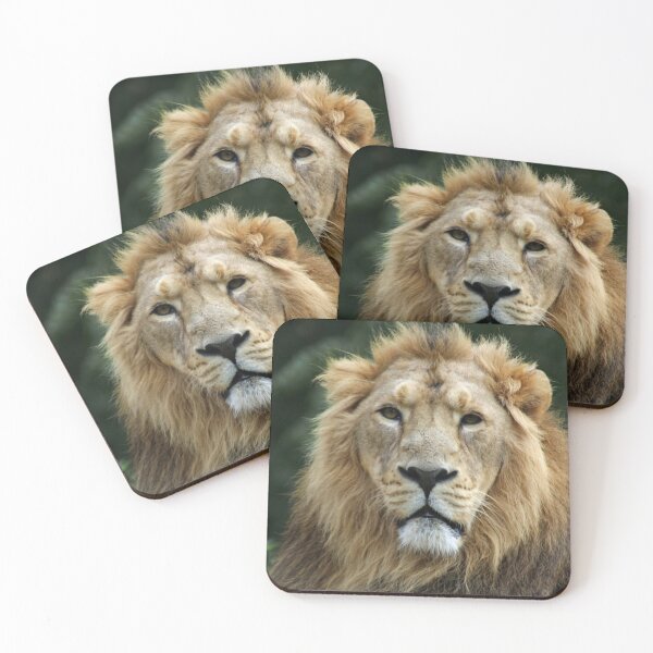 Item preview, Asiatic Lion Face designed and sold by Yampimon.