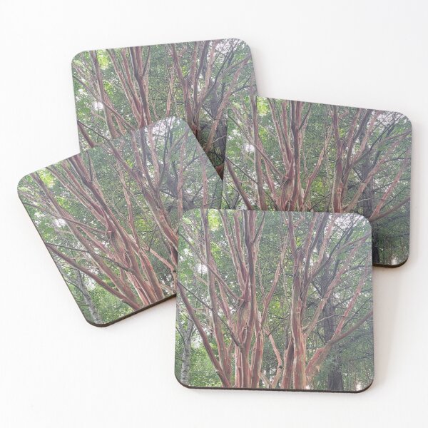 Item preview, Forest and trees nature lovers aesthetic design designed and sold by ArtByScience.