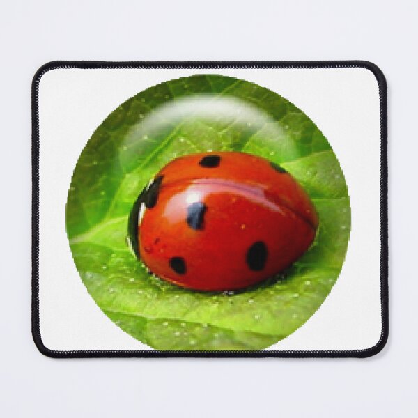 Item preview, BUG OUT designed and sold by licorish1.