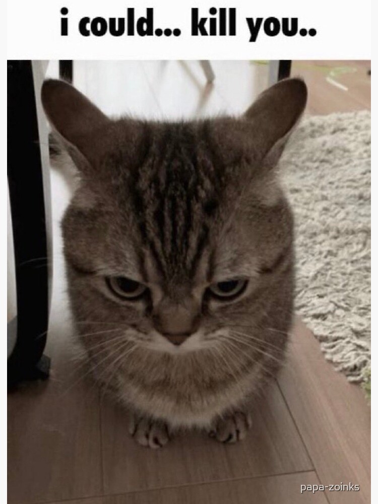 Angry-Cat-Meme-No-02