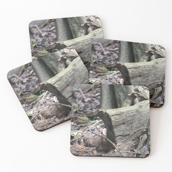 Item preview, In the bush designed and sold by Jodie Cooper.
