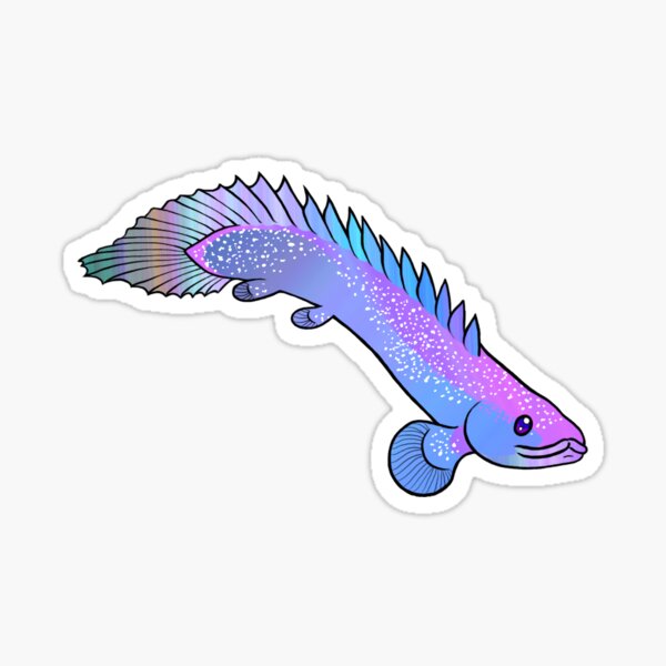 Item preview, Pastel Galaxy Bichir designed and sold by ReverendMothman.