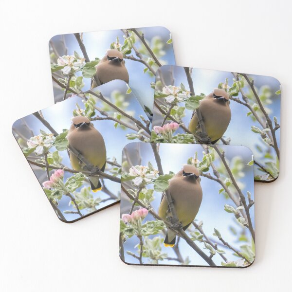 Item preview, Cedar Waxwing designed and sold by Deni444.