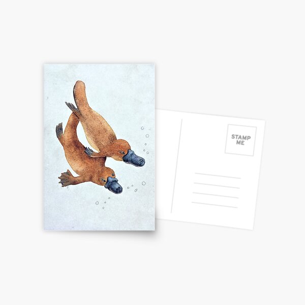 Item preview, Platypus Frolic designed and sold by PJ Paintings.
