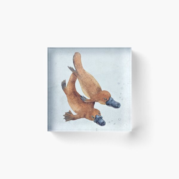 Item preview, Platypus Frolic designed and sold by PJ Paintings.