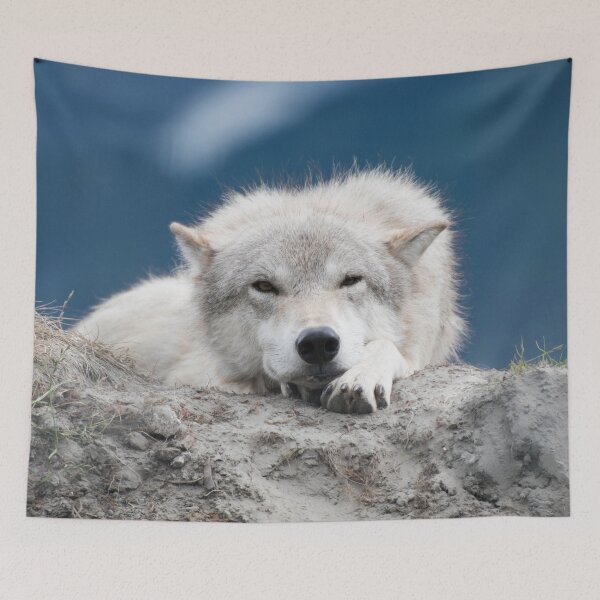 Item preview, Sleepy Wolf designed and sold by nancyjcreates.