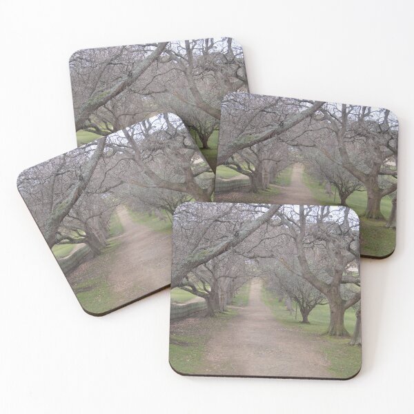 Item preview, The Promenade designed and sold by Taffylee81.