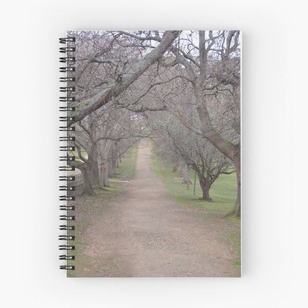 Item preview, The Promenade designed and sold by Taffylee81.