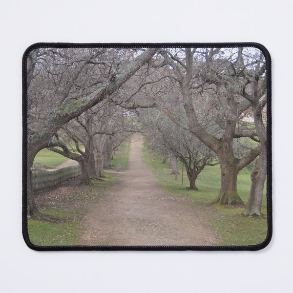 Item preview, The Promenade designed and sold by Taffylee81.