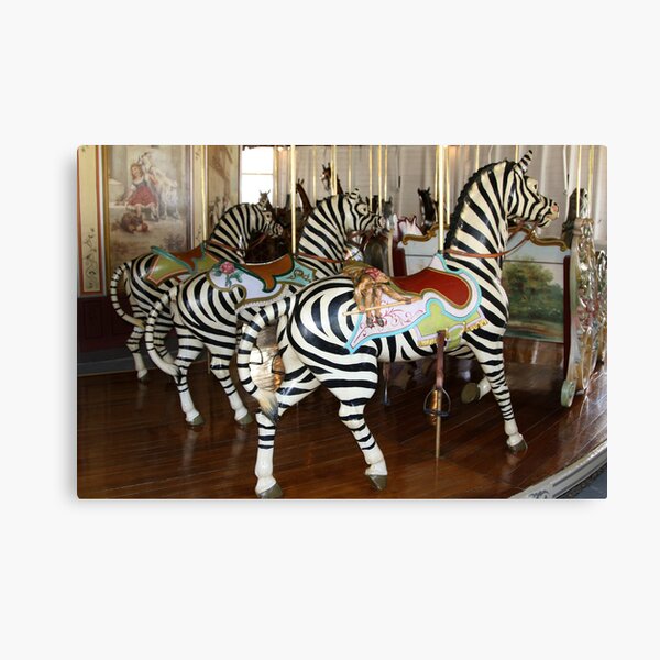 Trio of Zebras of PTC No. 6 Canvas Print