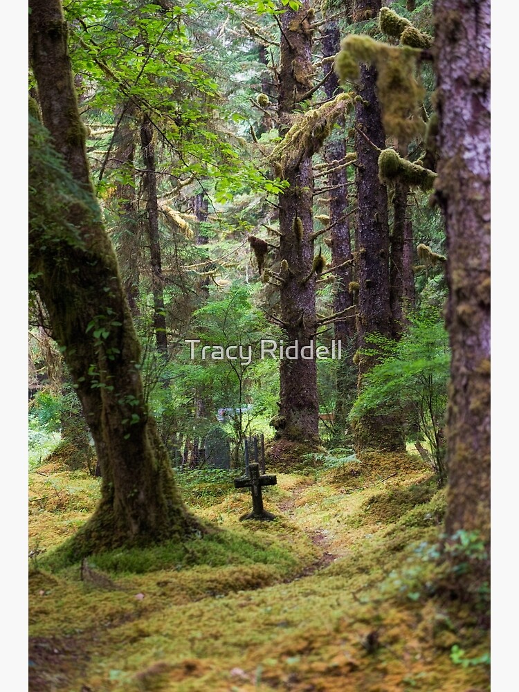 Memory Trail by taos