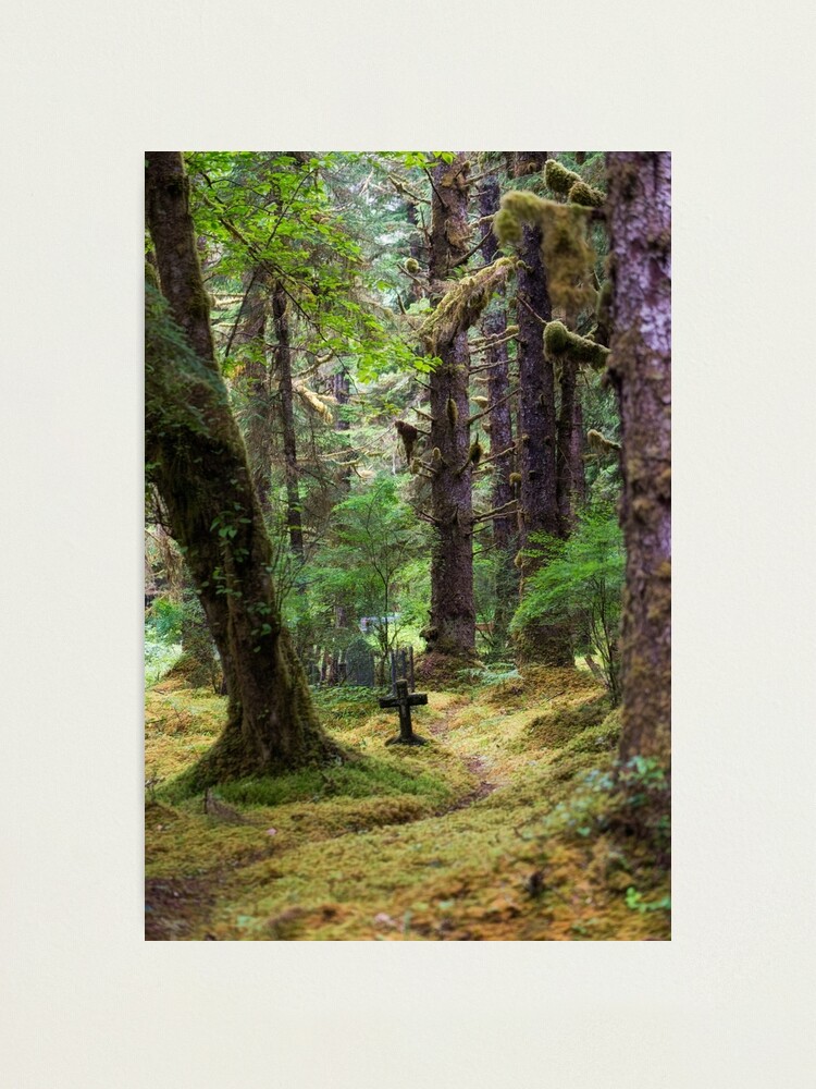 Alternate view of Memory Trail Photographic Print