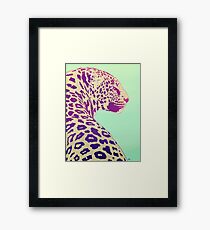 Leopard under the Sun Framed Print