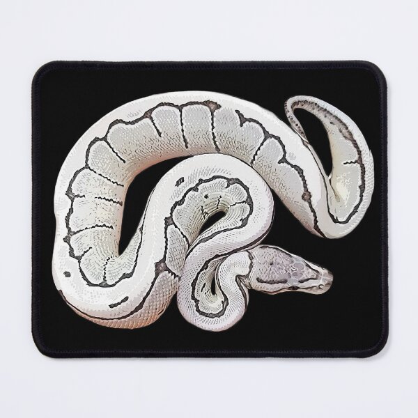 Aperçu de l'œuvre Ball Python Morph rayé créée et vendue par Elarex.