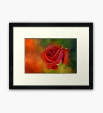 Cary Grant Rose Gerahmtes Wandbild
