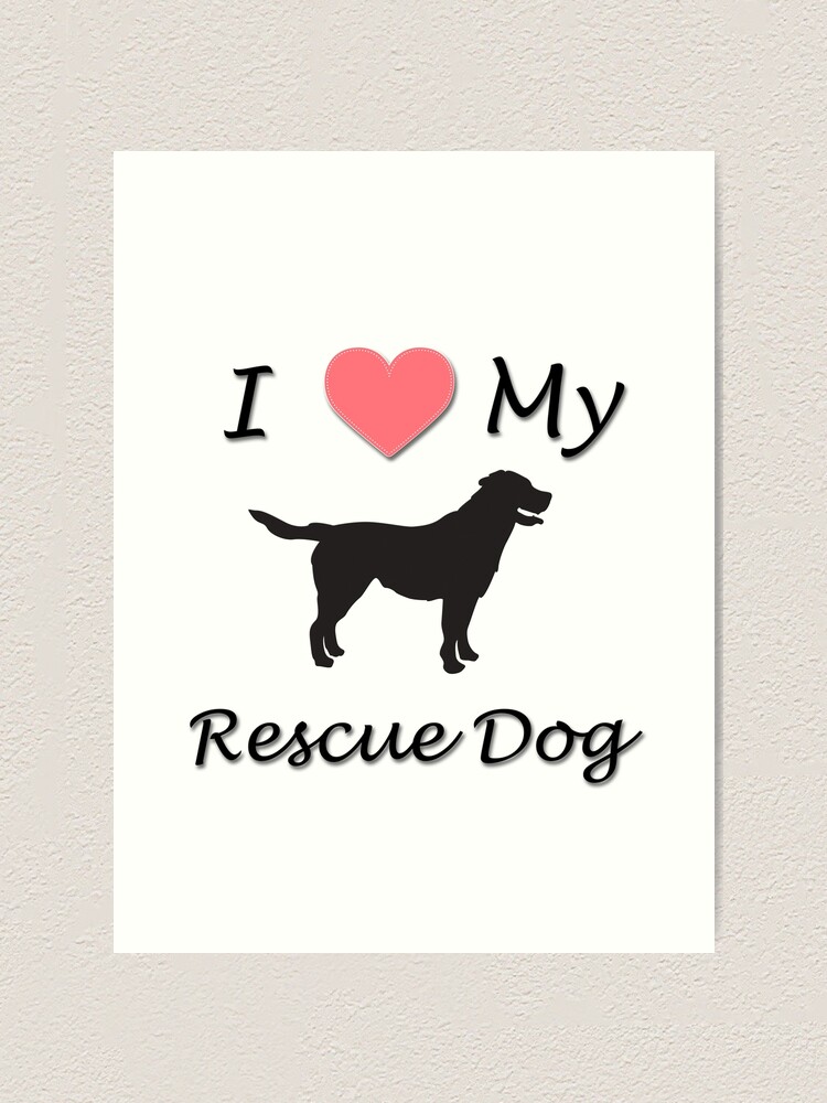 I love my rescue 2024 dog