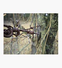 barb wire Photographic Print