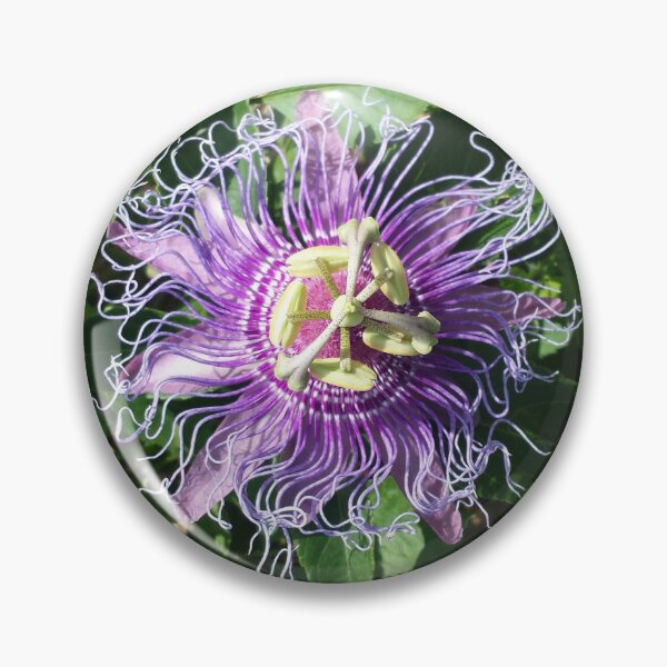 Item preview, Passion Flower designed and sold by Skatter-Brained.