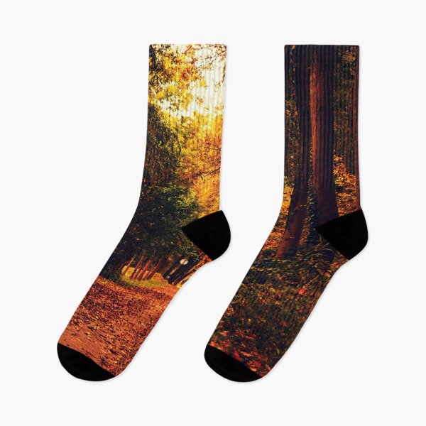 Item preview, Pathway Through An Autumn Forest designed and sold by Taceo10.