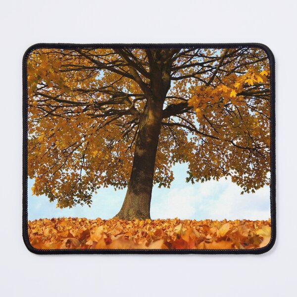 Item preview, Autumn Tree designed and sold by Taceo10.