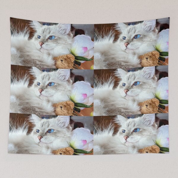 Item preview, Fluffy ragdoll cat Saoirseragdoll  designed and sold by Fluffycat2020.
