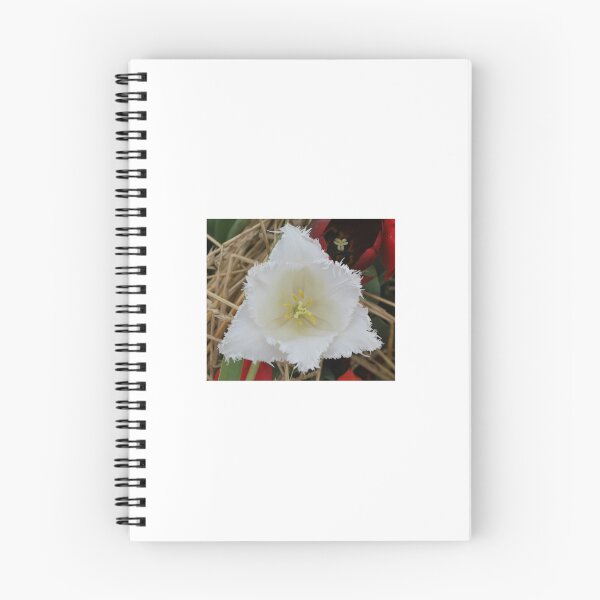 Item preview, Triangle Tulip designed and sold by Respite Artwork.
