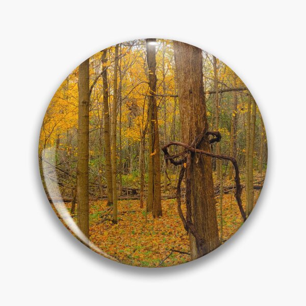Item preview, Nature Wrapped In A Bow designed and sold by ShutterBugSC.