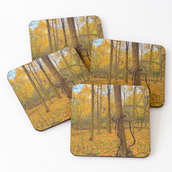 Item preview, Nature Wrapped In A Bow designed and sold by ShutterBugSC.