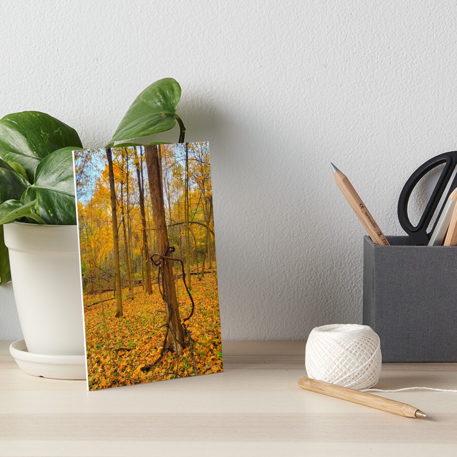 Item preview, Art Board Print designed and sold by ShutterBugSC.